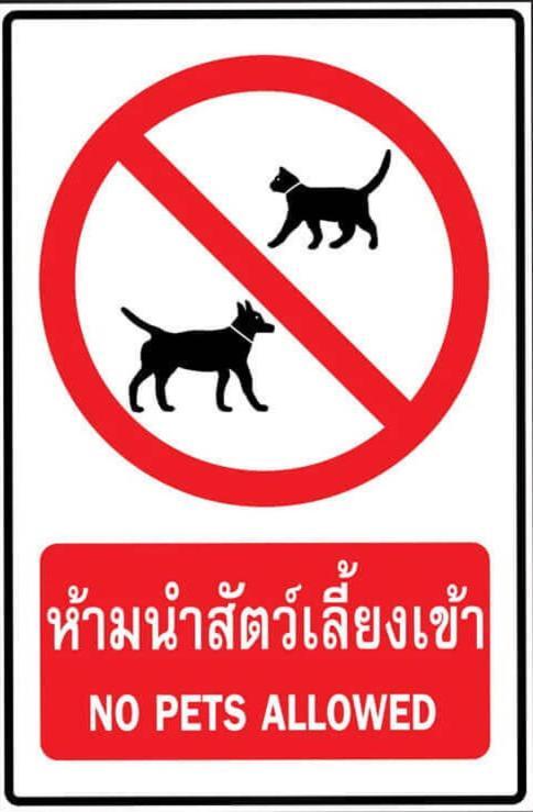 Araya Cottage Uthai Thani Eksteriør bilde